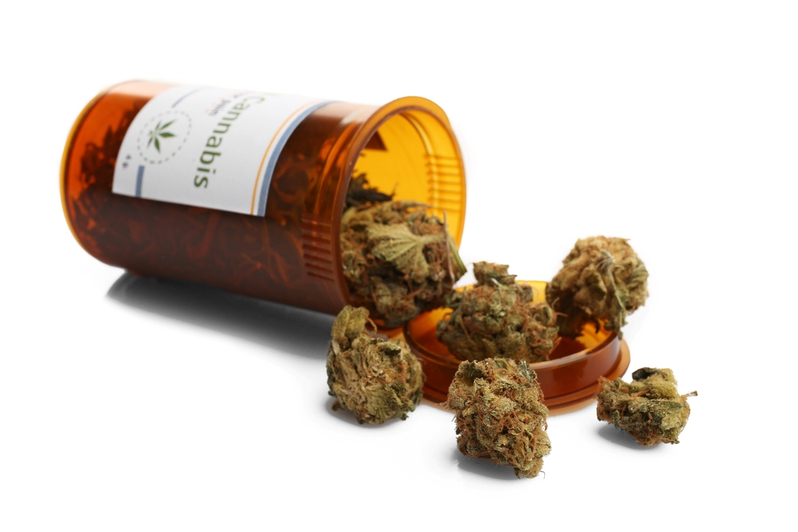 dried medical cannabis in plastic prescription bottle