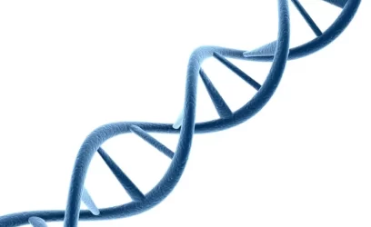 Why DNA is Not Foolproof