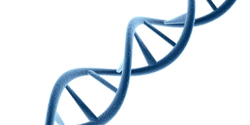 Why DNA is Not Foolproof
