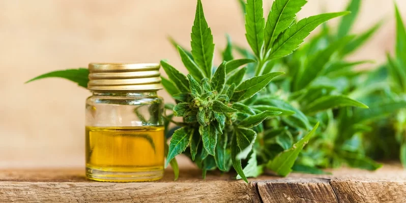 What You Need to Know About CBD Use in Louisiana