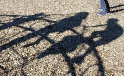 Why Does Louisiana Ban Registered Sex Offenders From Operating Certain Businesses?