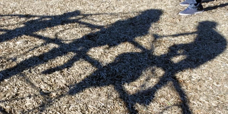 Why Does Louisiana Ban Registered Sex Offenders From Operating Certain Businesses?