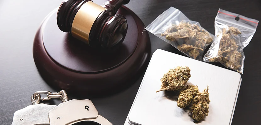 Louisiana Drug Crime Attorney-image