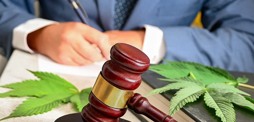 Louisiana Marijuana Charge Lawyer-image