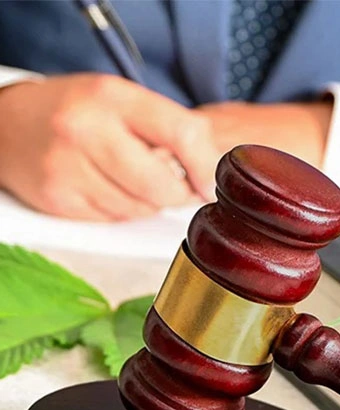 Marijuana Charges Image